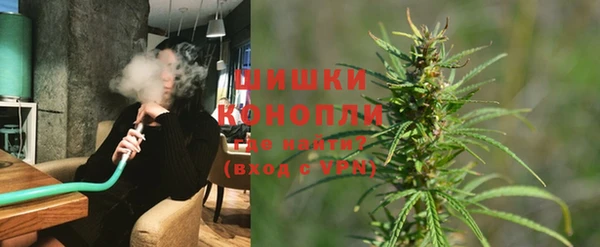 твердый Арсеньев