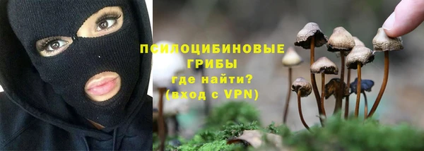 твердый Арсеньев
