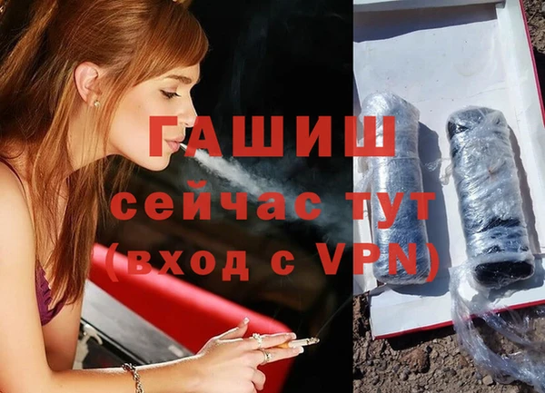 твердый Арсеньев