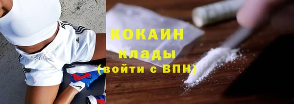 твердый Арсеньев