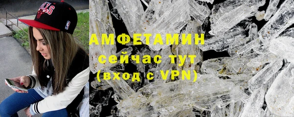твердый Арсеньев