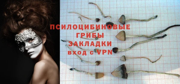 твердый Арсеньев