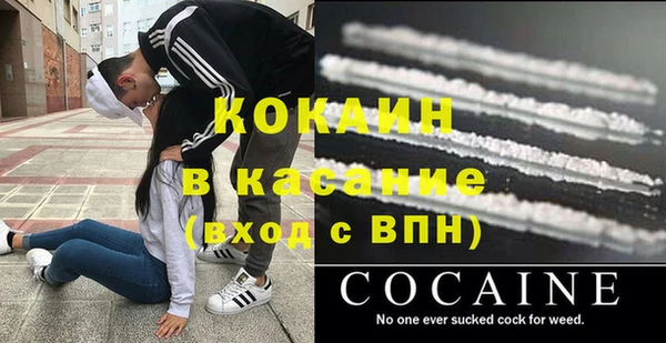 твердый Арсеньев