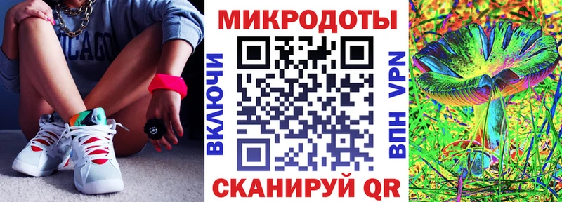 Галлюциногенные грибы Psilocybine cubensis  сколько стоит  Петрозаводск 